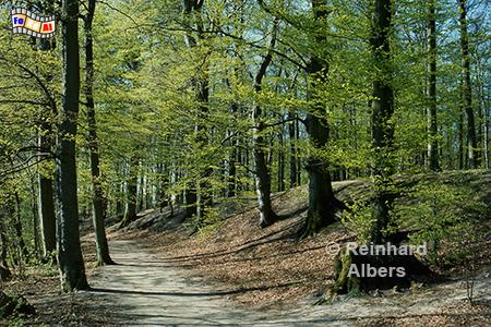 Bordesholm: Seerundweg, Schleswig-Holstein, Bordesholm, Seerundweg, See, Albers, Foto, foreal,