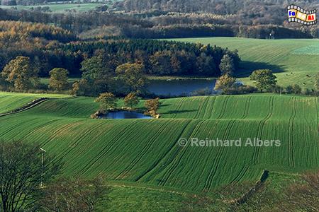 Ausblick vom Fernsehturm auf dem Bungsberg, Schleswig-Holstein, Ostholstein, Bungsberg, Holsteinische Schweiz, Albers, Foto, foreal,