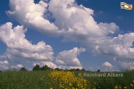 Landschaft bei Altenrade, 