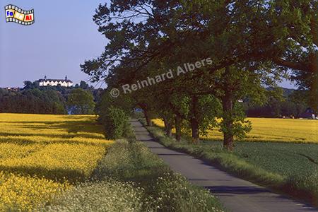 Blick von Norden auf Pln, Schleswig-Holstein, Raps, Pln, Schloss, Albers, Foto, foreal,