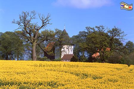 Rapsblte bei Kirchnchel, Schleswig-Holstein, Rapsblte, Raps, Kirchnchel, Holsteinische, Schweiz, Albers, Foto, foreal,