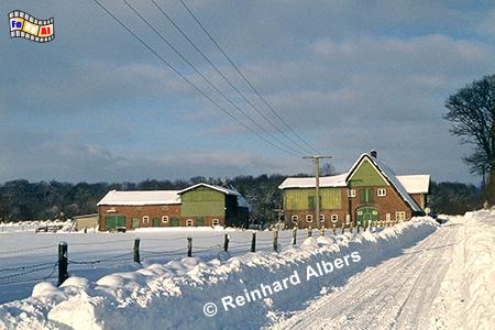 Schneekatastrophe Feb. 1979 - Weg von Mhbrook nach Bordesholm, Schleswig-Holstein, Schneekatastrophe, Mhbrook, Winter, Schnee, Albers, Foto, foreal,