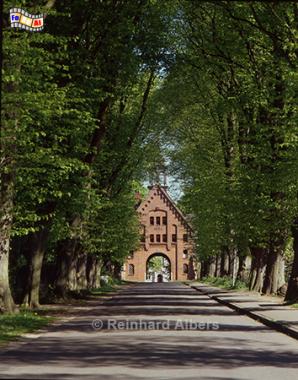Allee nach Schnbken, Schleswig-Holstein, Schnbken, Allee, Albers, Foto, foreal,