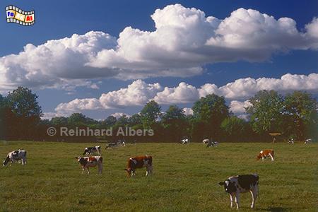Landschaft bei Schillsdorf, 