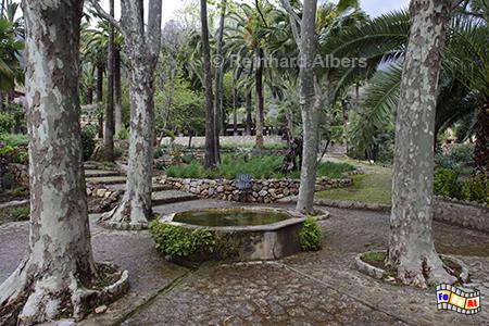 Jardins d'Alfbia, Mallorca, Jardines, Jardins, Alfabia, Blumen, Foto, foreal, Albers, 