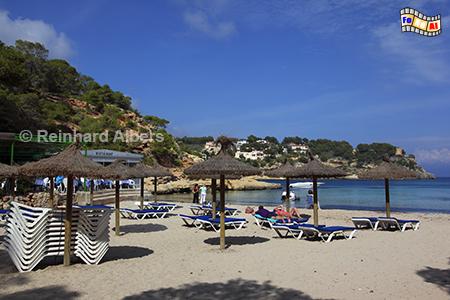 Mallorca - Strand mit Sonnenliegen und Schirmen, Mallorca, Paguera, Strand, Bucht, Albers, Foto, foreal,