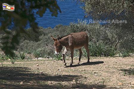 In den Tramuntana Bergen, 