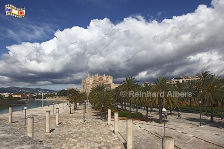 Palma de Mallorca: Kathedrale, Mallorca, Palma, Kathedrale, Albers, Foto, foreal