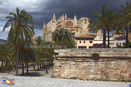Palma de Mallorca: Kathedrale, Mallorca, Palma, Kathedrale, Albers, Foto, foreal,