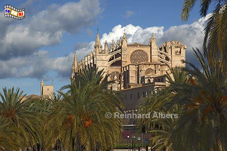 Palma de Mallorca: Kathedrale, Mallorca, Palma, Kathedrale, Albers, Foto, foreal,