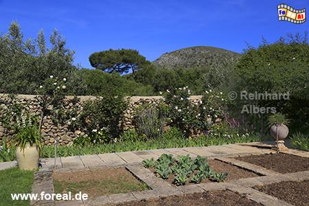 Fundacin Jokaber - Garten, Mallorca, Alcudia, Fundacin, Jakober, Kunst, Garten, Albers, Foto, foreal,