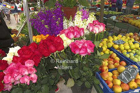 Blumen auf dem Markt in Alcudia, Mallorca, Alcudia, Markt, Rosen, Blumen, Albers, Foto, foreal,