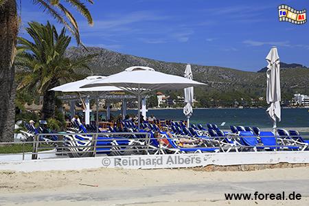 Port de Pollena - Sonnenliegen, Mallorca, Port de Pollenca, Sonnenliegen, Strandleben, Mittelmeer, Balearen, Albers, Foto, foreal,