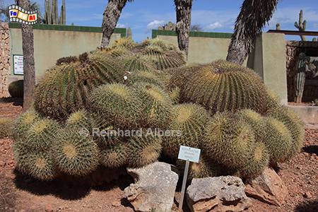 Kakteenpark 