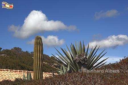 Cala s'Almunia, Mallorca, Mittelmeer, Cala, Almunia, K�ste, Felsen, Meer, Bucht, Albers, Foto, foreal,