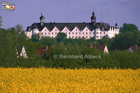 Rapsblte bei Pln - Bick von Norden, Rapsblte, Raps, Rapsfeld, Pln, Schloss, Holsteinische Schweiz, Albers, Foto, foreal,