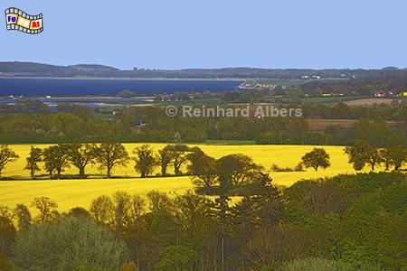 Ausblick vom Bismarckturm in L�tjenburg Richtung Hohwachter Bucht, Ostseek�ste, Rapsbl�te, Raps, Bismarckturm, L�tjenburg, Hohwachter Bucht, Albers, Foto, foreal,