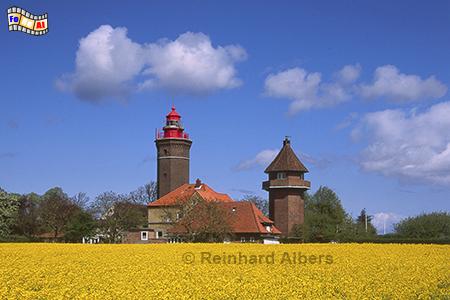 Rapsblte beim Leuchtturm Dahmeshved, Rapsblte, Schleswig-Holstein, Ostsee, Leuchtturm, Dahme, Dahmeshved, Foto, foreal, Albers,